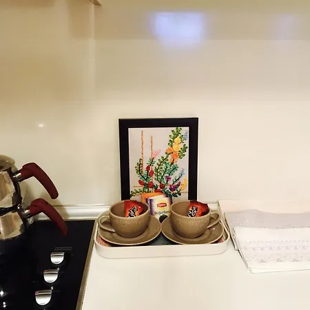 Turkuaz Apartament