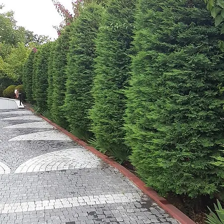 Apartament Turkuaz